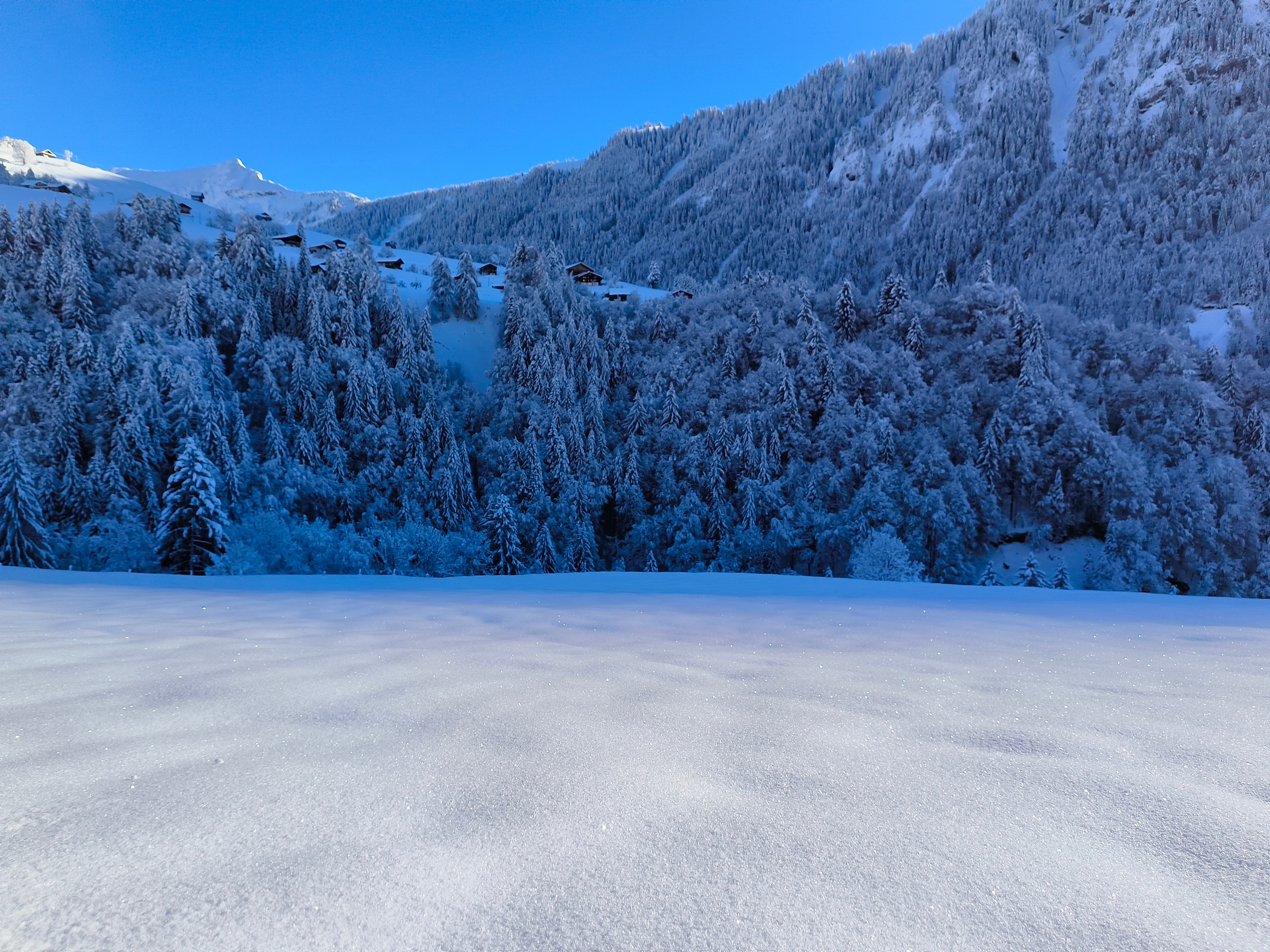 Blickpunkt Berner Oberland im Dezember 2023