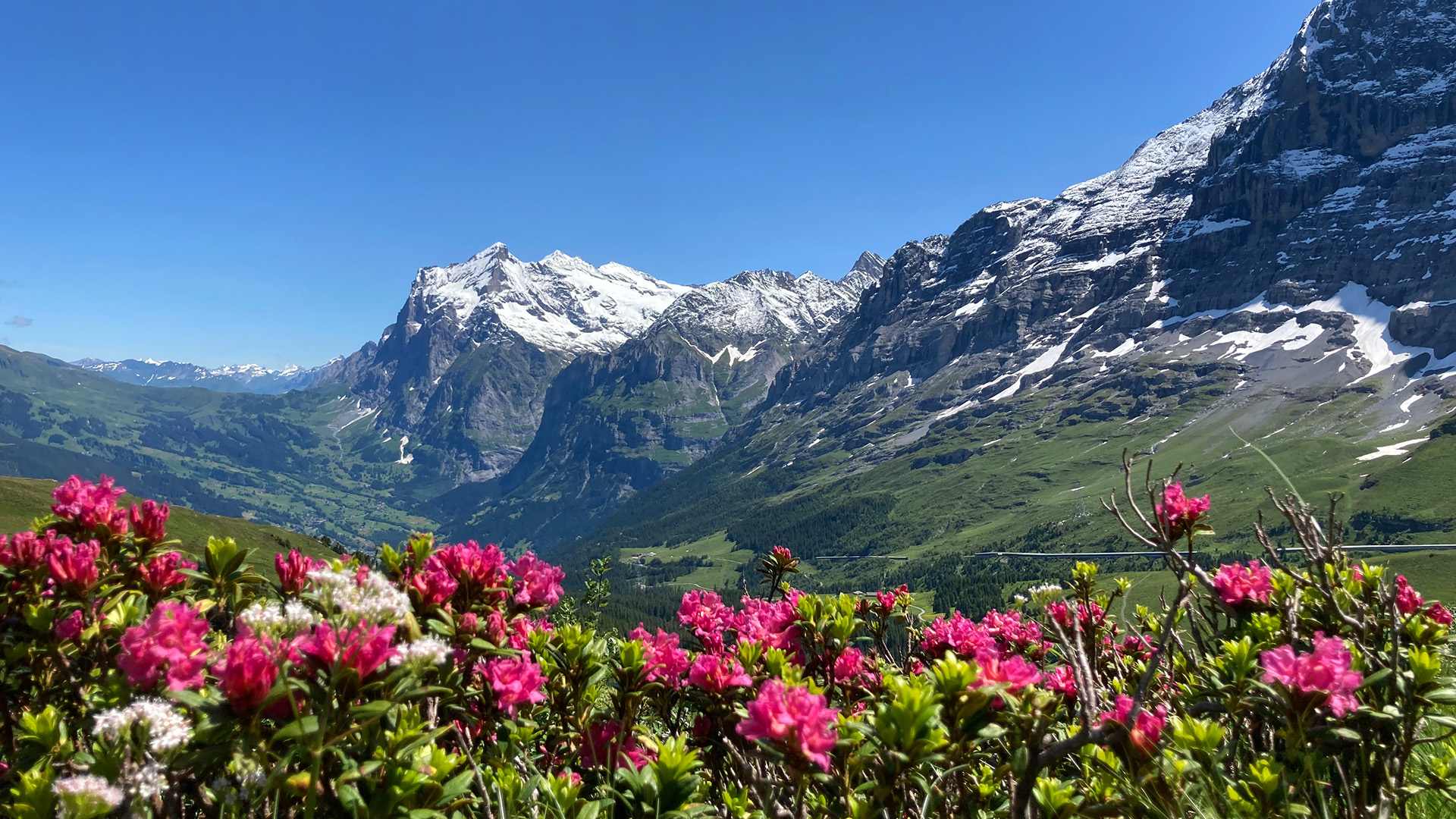 Blickpunkt Berner Oberland im Juli 2022