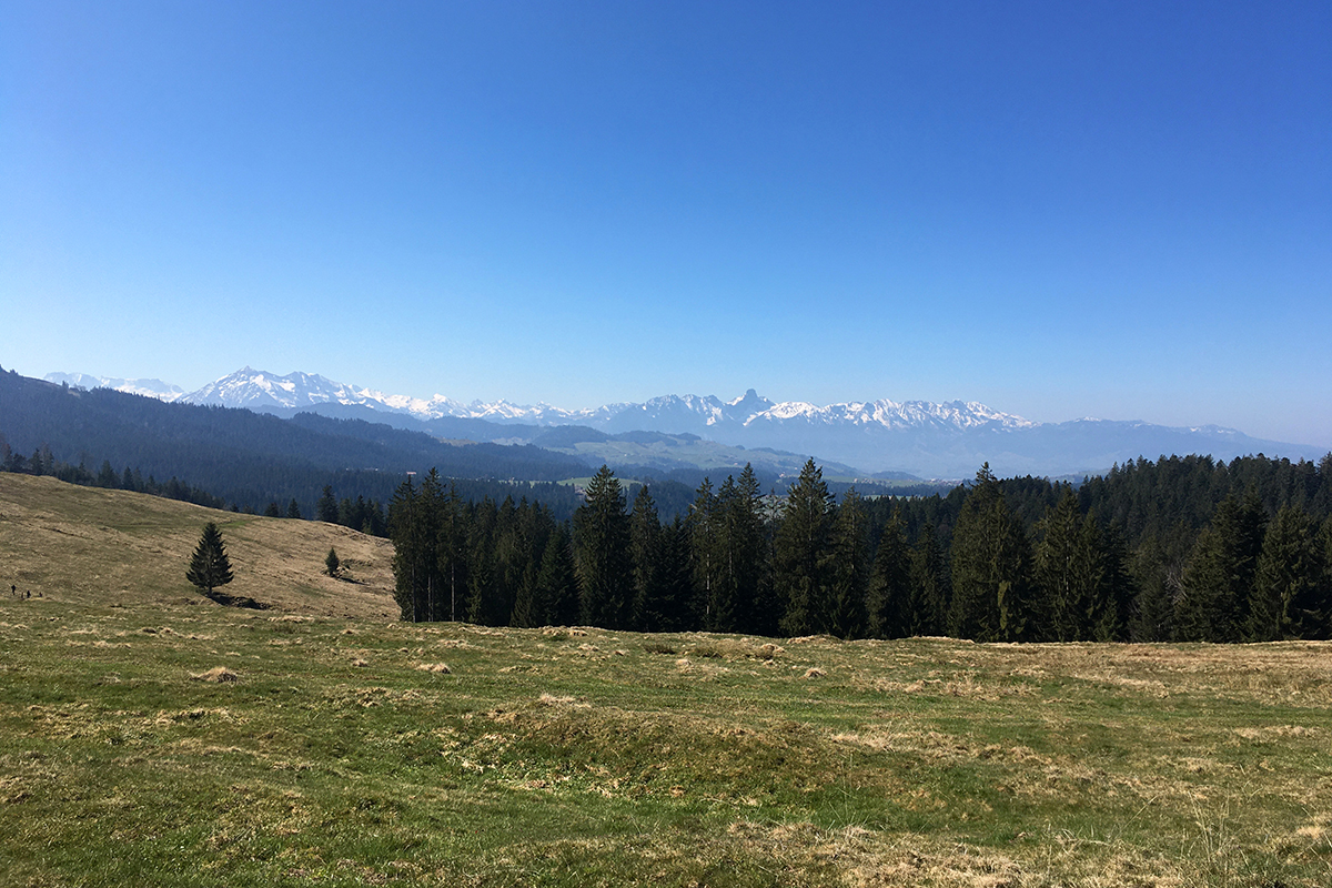 Blickpunkt Berner Oberland im Mai 2020