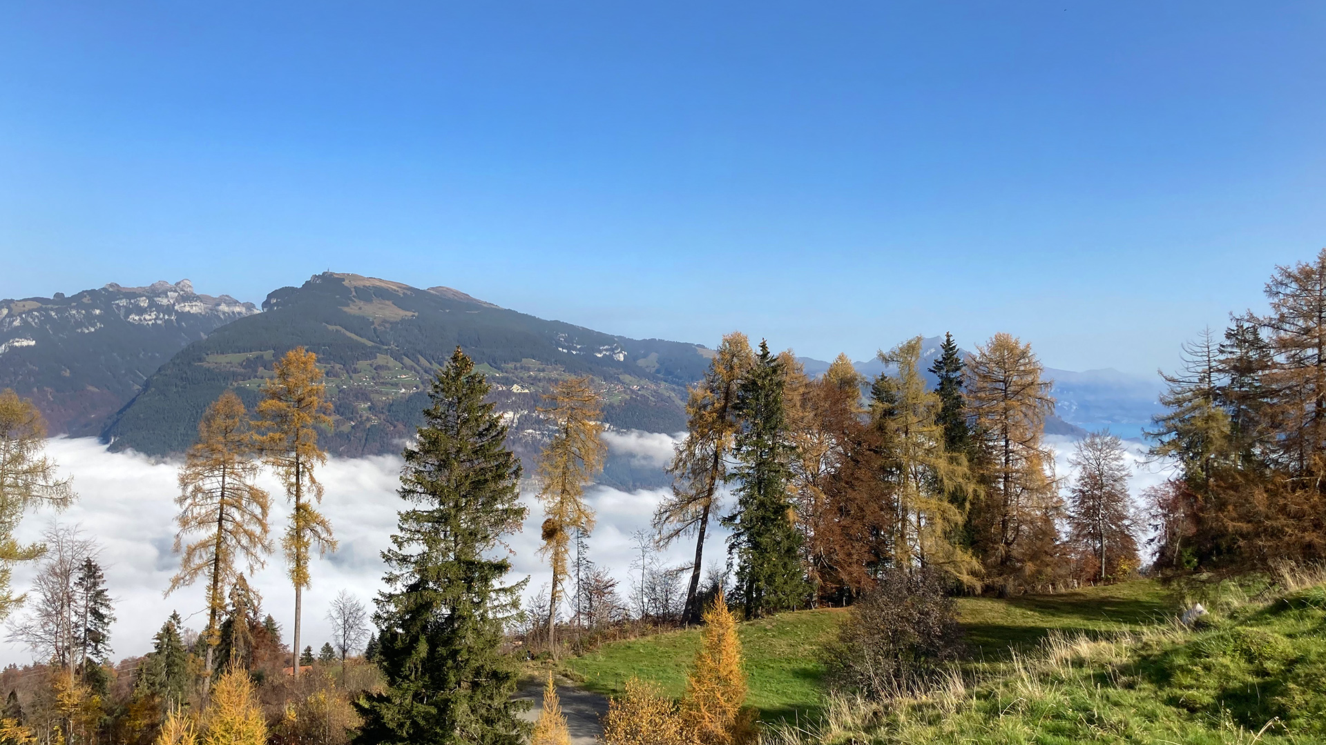 Blickpunkt Berner Oberland im November 2020